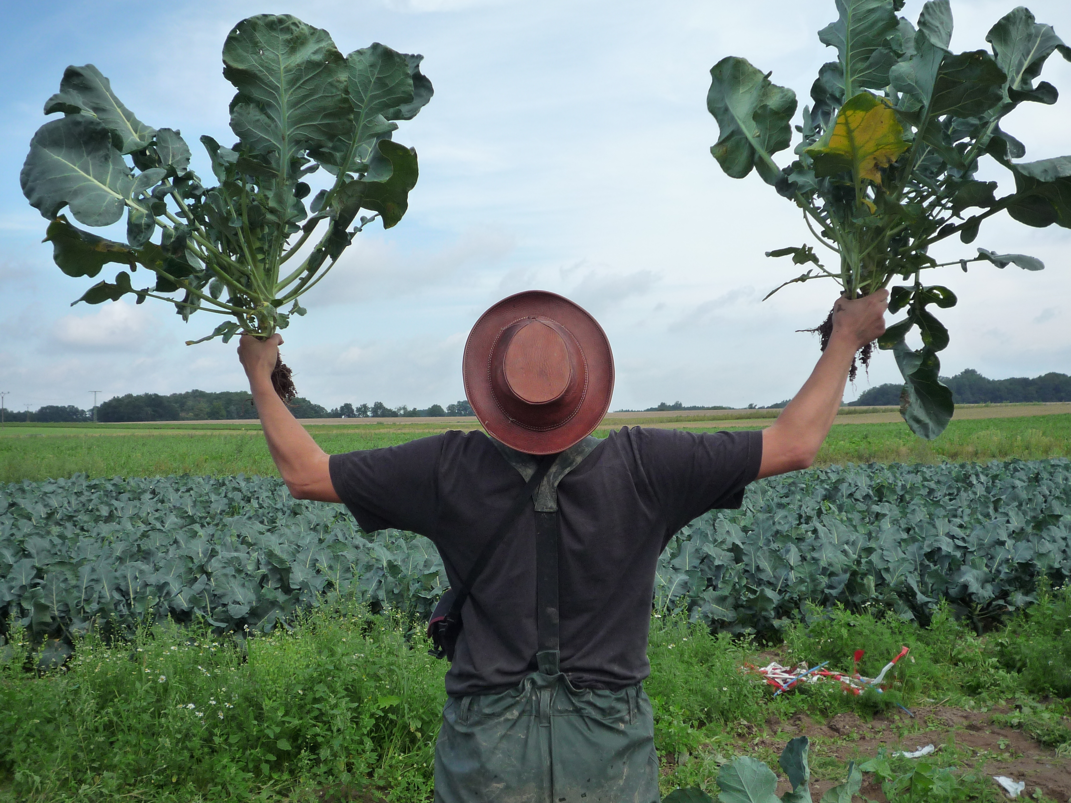 Foto Karsten Zutz im Feld